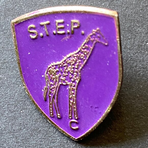 Vintage Collectible S.T.E.P. Giraffe Metal Pinback Lapel Pin Hat Pin Polarpin - Picture 1 of 2